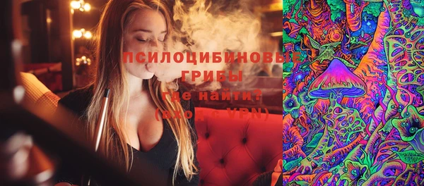 ГАЛЛЮЦИНОГЕННЫЕ ГРИБЫ Алзамай