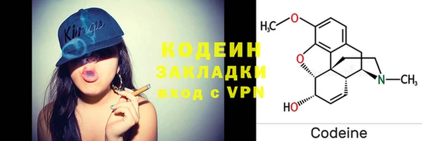 дурь Алексин