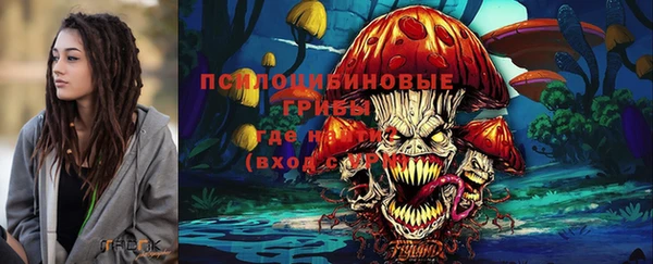 дурь Алексин