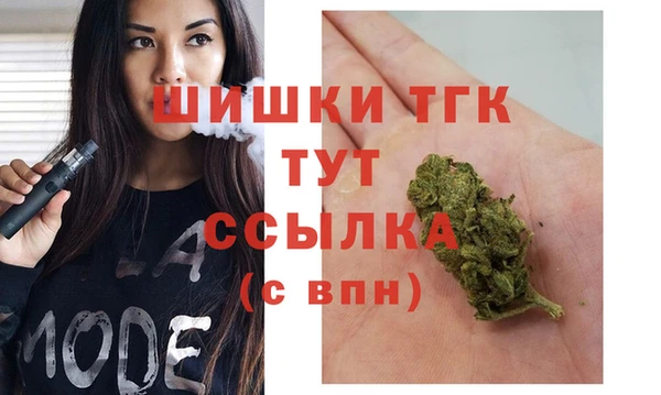 ГАЛЛЮЦИНОГЕННЫЕ ГРИБЫ Алзамай
