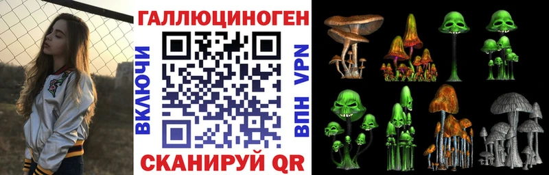 mega ссылка  Карачаевск  Псилоцибиновые грибы GOLDEN TEACHER 