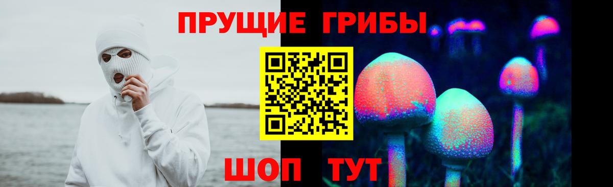 Псилоцибиновые грибы Psilocybine cubensis  Вход с VPN  Карачаевск  Галлюциногенные грибы MAGIC MUSHROOMS 